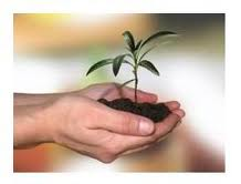 lead nurturing