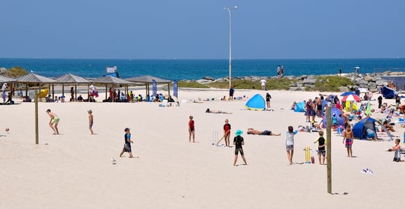 cricket on beach.jpg